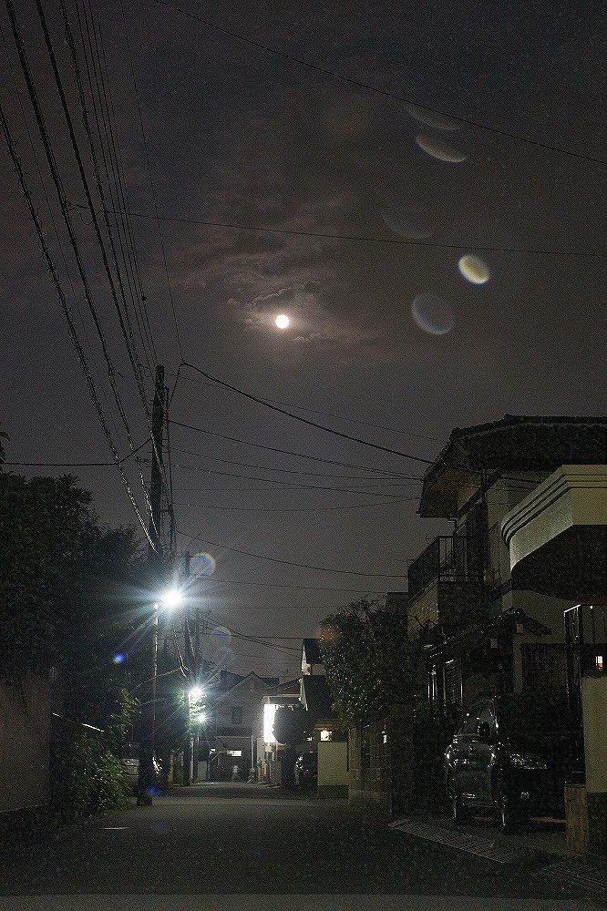 d0349141_21384208.jpg