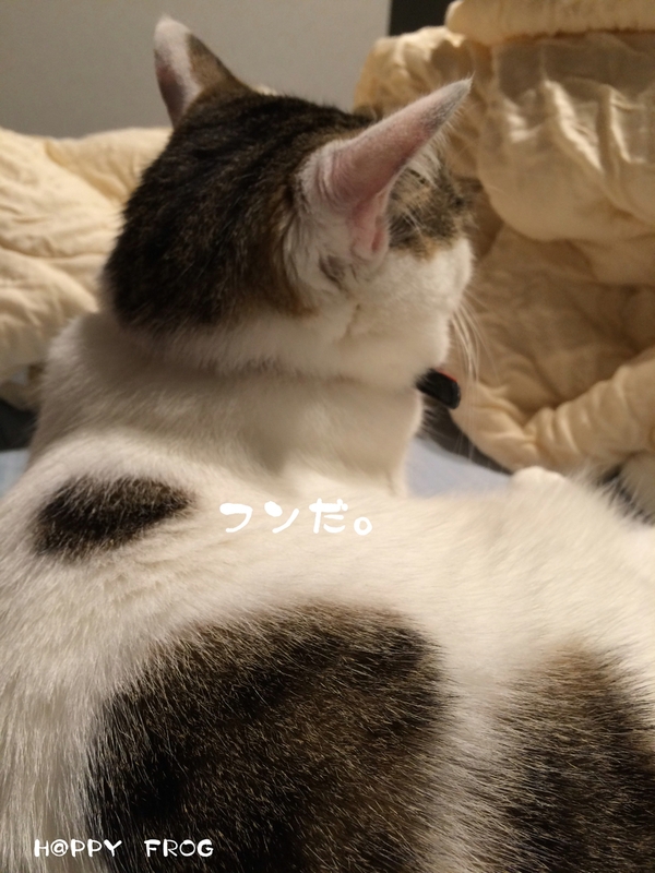f0032042_11303149.jpg