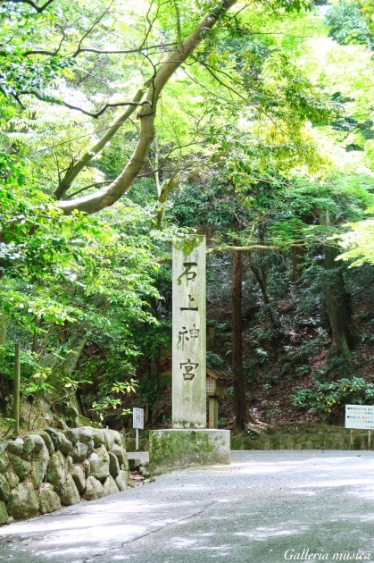 f0351853_02523364.jpg