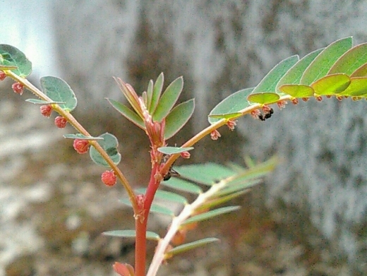 a0018655_11125023.jpg