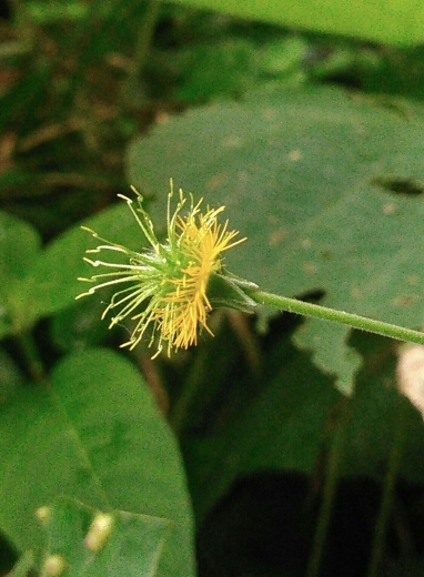 a0018655_11130440.jpg