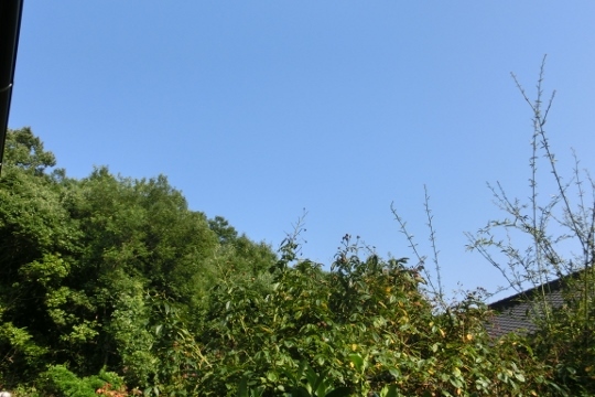 c0328559_16290372.jpg