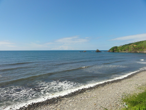 d0029363_12484218.jpg