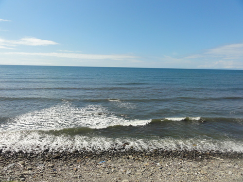 d0029363_1249114.jpg