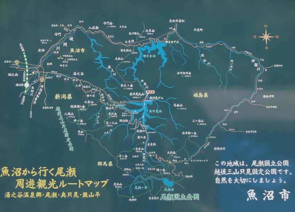 d0029363_1711121.jpg