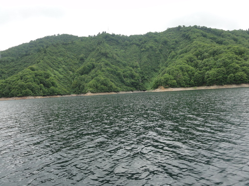 d0029363_17123370.jpg