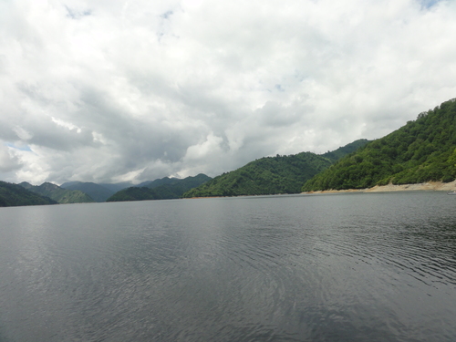 d0029363_1712712.jpg