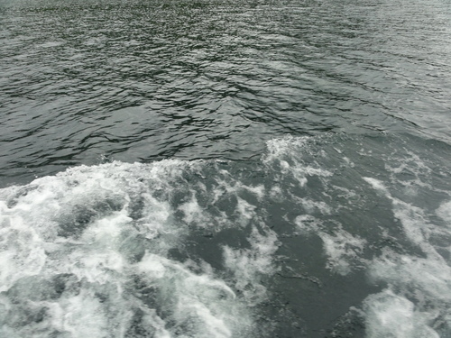 d0029363_17131626.jpg