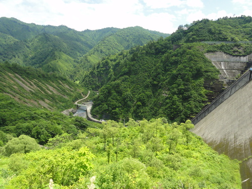 d0029363_1792493.jpg