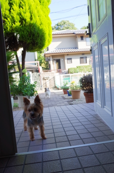 a0232368_06560371.jpeg