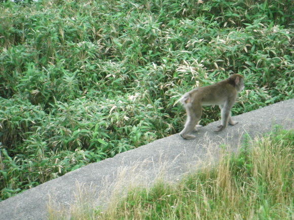c0325468_20412675.jpg
