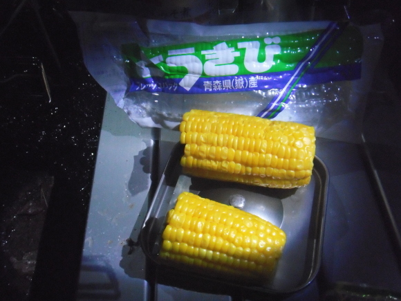 c0325468_20524835.jpg
