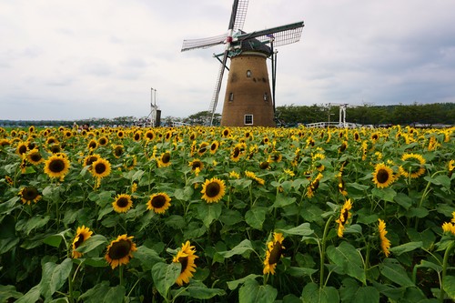 a0157174_19393635.jpg