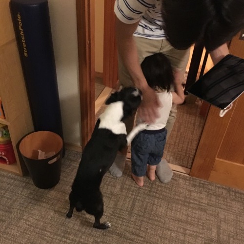 d0041575_20441342.jpeg