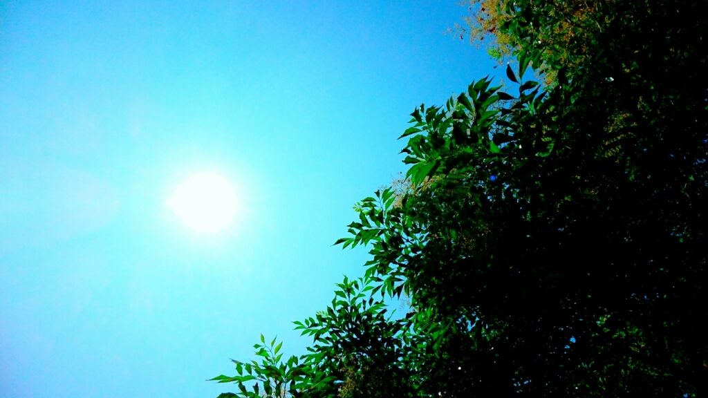 f0348976_10125867.jpg