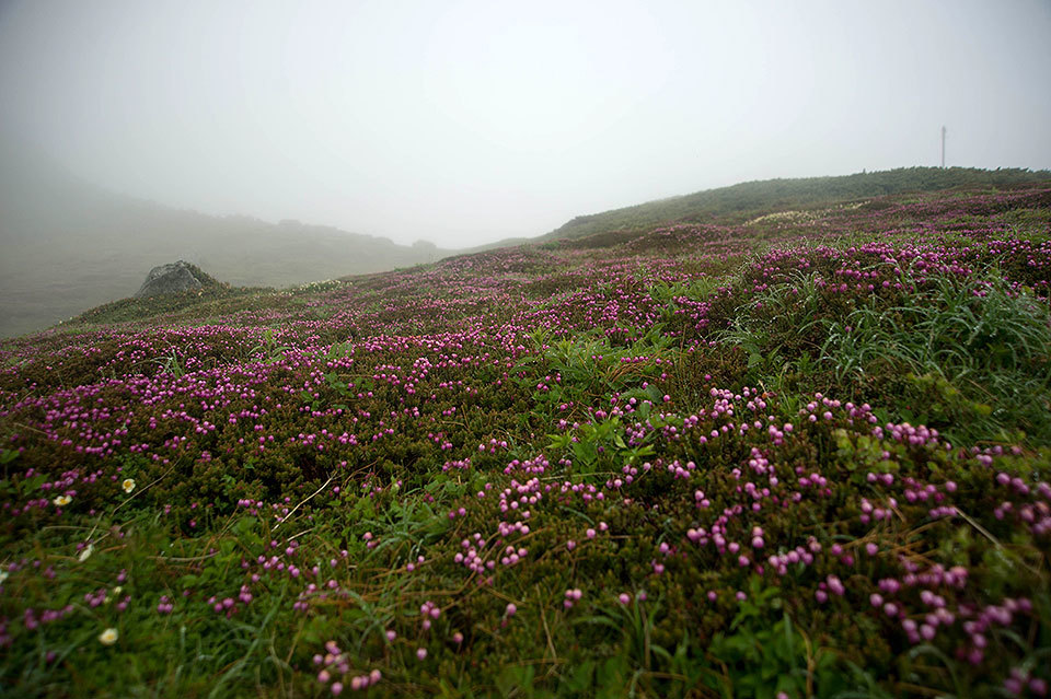 f0109977_17564286.jpg