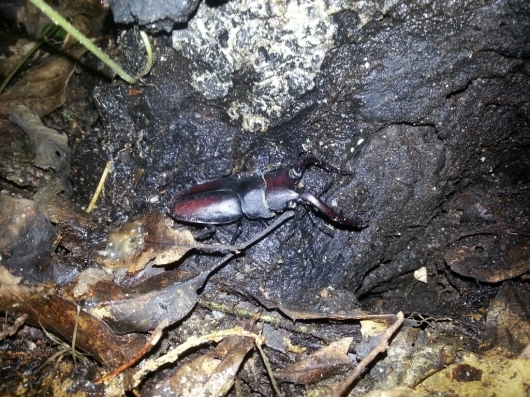 f0183484_06115680.jpg