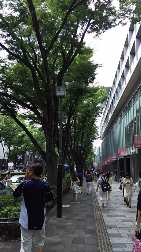 e0199691_0143096.jpg