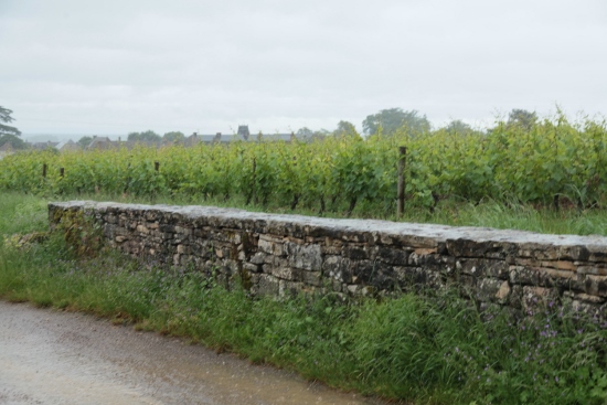 e0209997_7294553.jpg