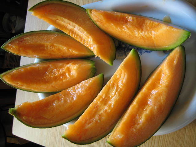 f0316507_14225865.jpg