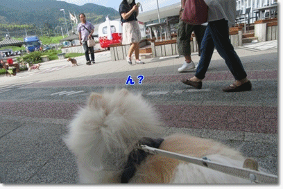 b0167519_14512950.gif