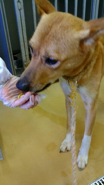 f0078320_1825273.jpg