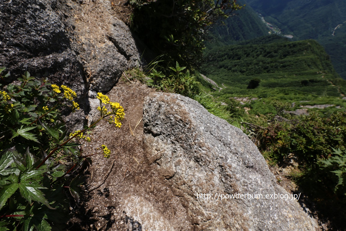 b0062024_8155542.jpg