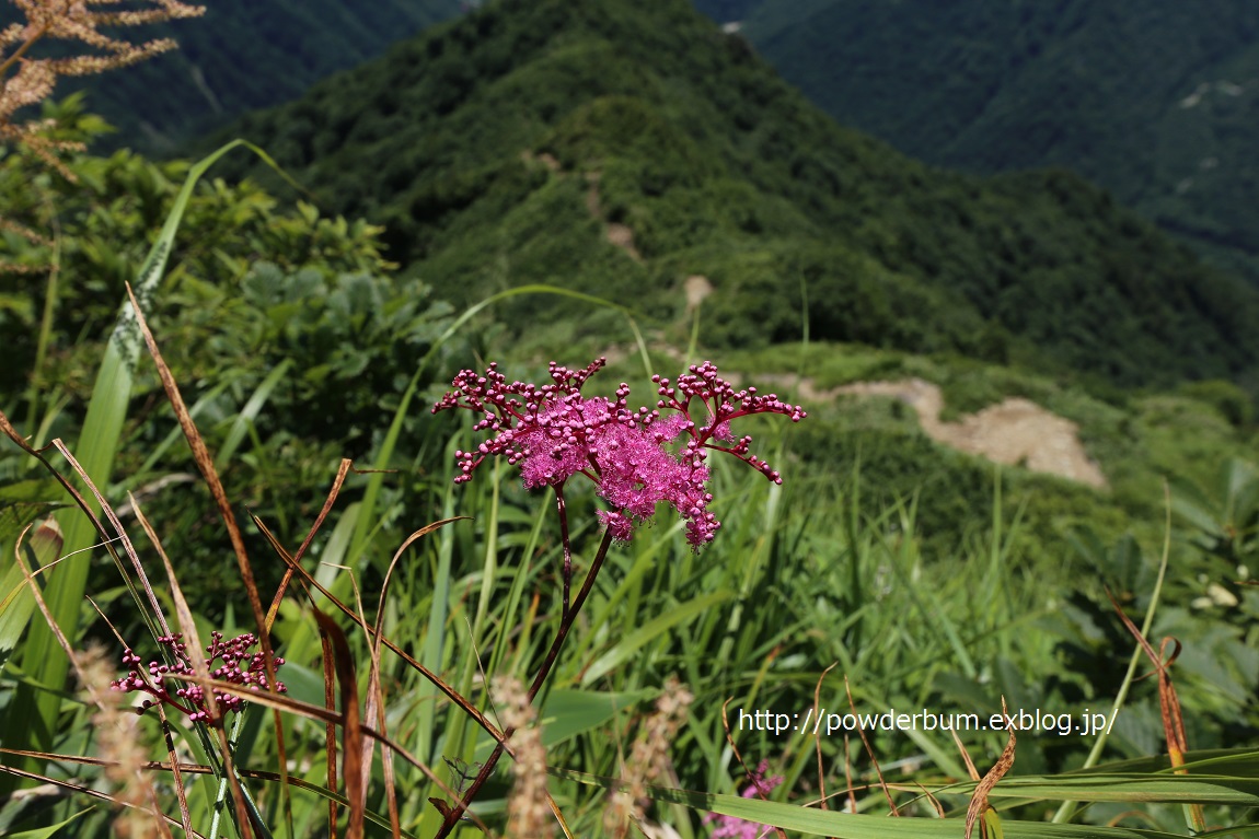 b0062024_8173280.jpg
