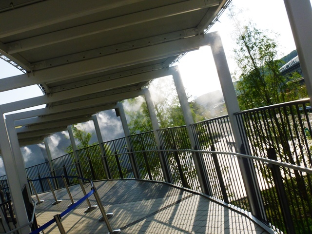 d0137326_11261844.jpg