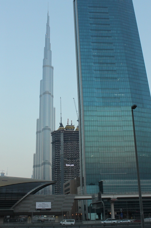 a0163227_1465248.jpg