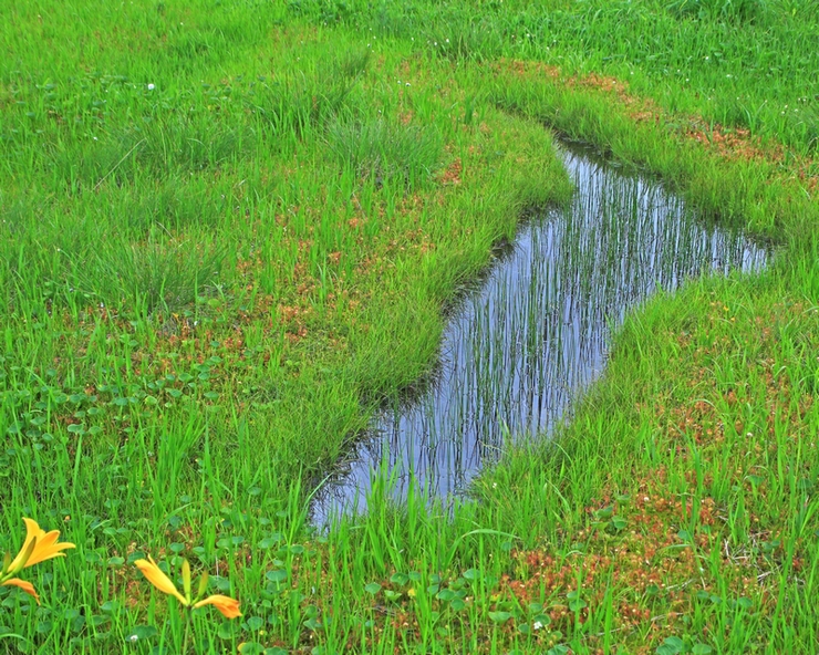 c0104227_1672669.jpg