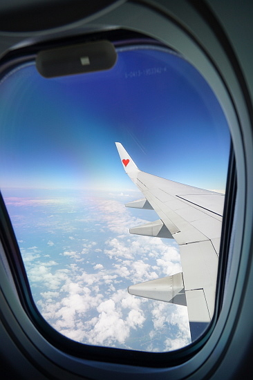 f0037227_2064129.jpg
