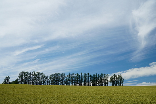 f0037227_2065668.jpg