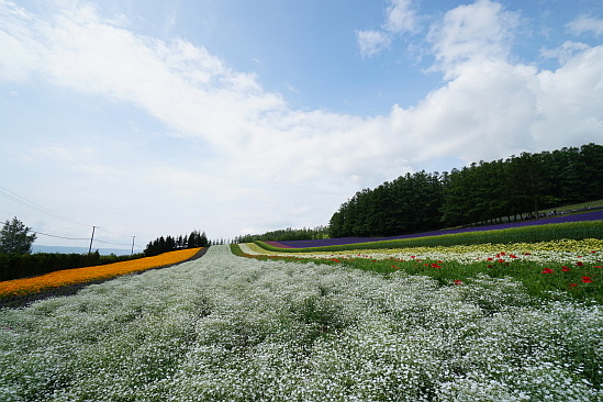 f0037227_2071644.jpg
