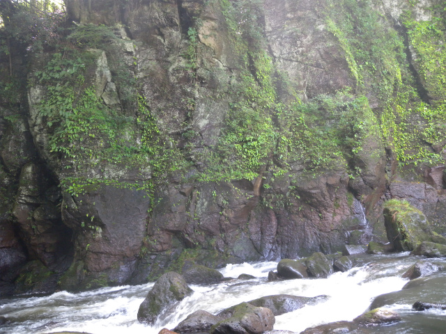 e0272335_21195186.jpg