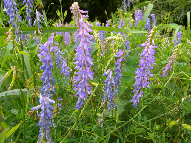 e0272335_2135393.jpg