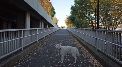 a0117039_2139985.jpg