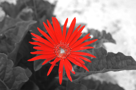 a0027641_2316357.jpg