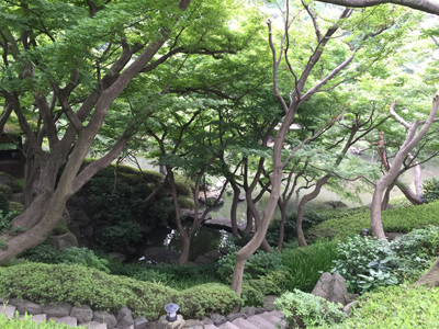c0116550_18423811.jpg