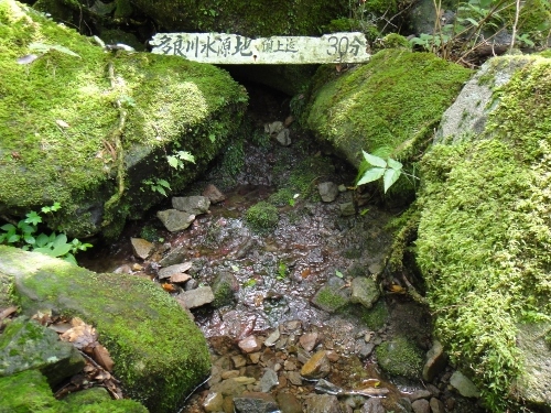 c0179351_19381266.jpg