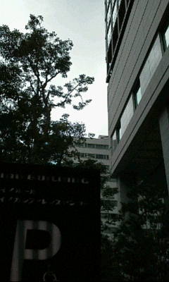 b0105259_21162372.jpg