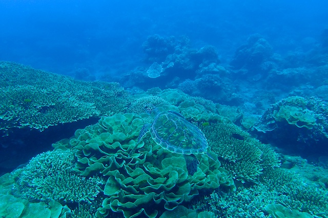 b0062363_692389.jpg