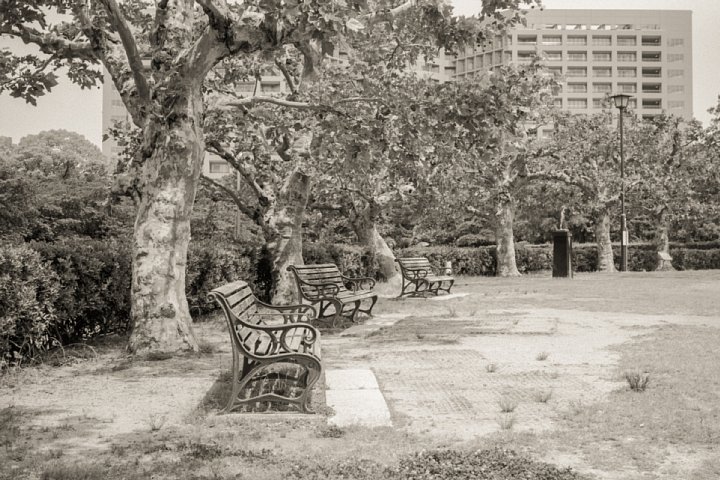 b0175964_2263353.jpg