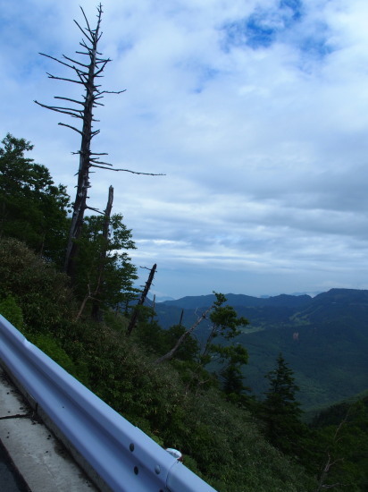 c0122670_23305871.jpg