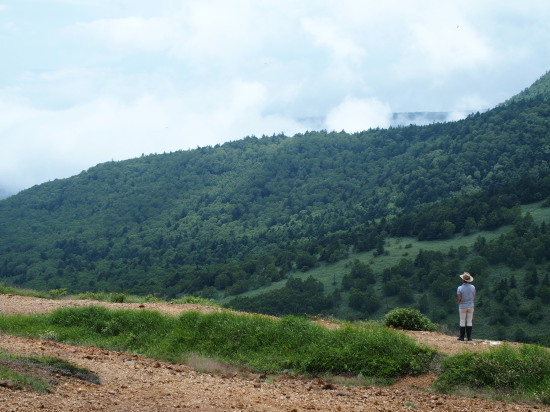 c0122670_23383933.jpg