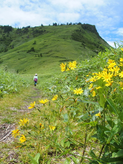c0122670_23401048.jpg