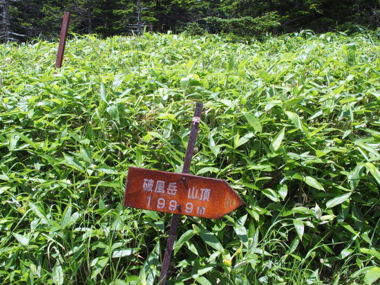 c0122670_23411275.jpg