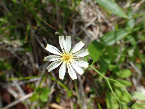 c0122670_23510110.jpg