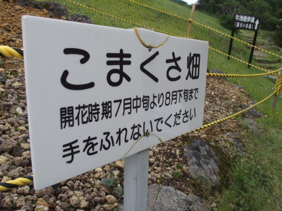 c0122670_23551076.jpg