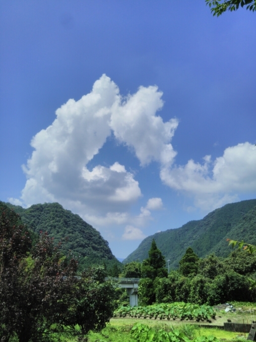 a0232573_07123639.jpg